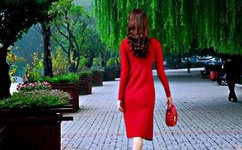 秦纲是美国间谍吗为什么